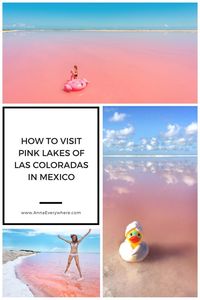 How to Visit Pink Lakes of Las Coloradas, #Mexico