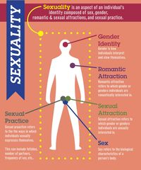 Sexuality is an aspect of an individual's identity composed of sex, gender, romantic, and sexual attractions, as well as the sexual practice.