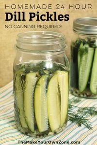 Homemade 24 hour Dill Pickles (No Canning Needed)