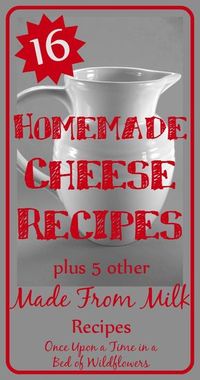 It's easy to make delicious homemade cheeses! Check out these cheese recipes, plus a few more made from milk recipes // Once Upon a Time in a Bed of Wildflowers