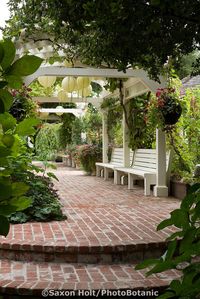 Brick path and steps leading to pergola covering benches in organic California garden