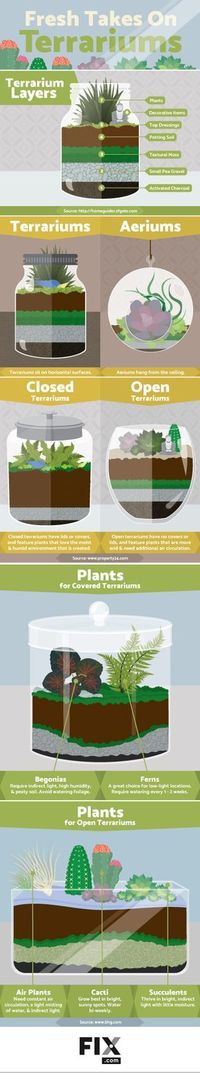 Growing tiny plants in a micro-ecosystem is a great way to spruce up your home |fix.com #Terrarium #Micro_Ecosystem #DIY