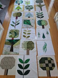 11 Local quilting friends contributed TWELVE (21) blocks: