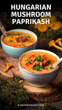 BEST Hungarian Mushroom Paprikash Recipe | Hungarian Recipes