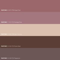 Rose Wood Pantone Color Palette Color Harmony · A symphony of warmth and sophistication, the Rose Wood palette reflects the enchanting embrace of fall. · Creative Color Scheme · #Beige #Brown #Chocolate #Color #ColorPalette #Fall #FHICottonTCX #FHIMetallicShimmersTPM #Neutral #Pantone #PANTONE17-1512TCXNostalgiaRose #PANTONE18-1409TCXPeppercorn #PANTONE19-1234TCXRockyRoad #P...