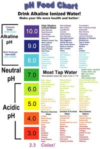 Make sure to keep your body and blood pH/alkalized! Dr. Robert O. Young The pH Miralce The Alkalarian Diet:                   pH water bottle chart &nbs…