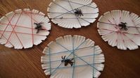 Paper Plate Spider Webs | Crafts for Kids | PBS KIDS for Parents