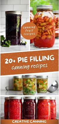 Journey into the realm of canning with our extensive list of canning fruit recipes. Find the perfect balance between sweet and savory with our pot pie filling recipes, or delve into classics such as apple, blackberry, and strawberry fillings. Preserved in jars, they are ready to complete your homemade pie whenever you wish.