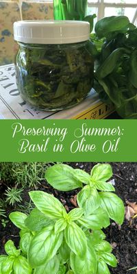 Preserving Summer: Basil in Oil | Dining With Debbie