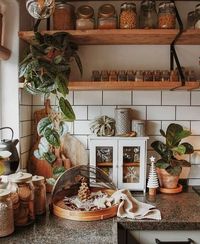 35+ Boho Kitchen Decor Ideas for House or Apartment | momooze