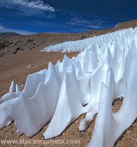 Snow Penitents - Andes of Chile <3