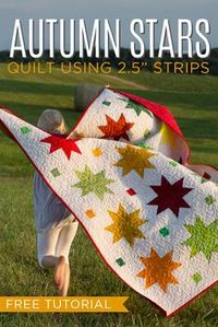 Make the Autumn Sweet Stars Quilt Using 2.5" Strips! Free Video Tutorial! More