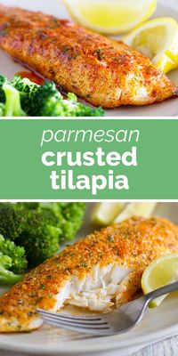 This Parmesan Crusted Tilapia is a simple fish recipe that is done in 20 minutes and will even impress non-fish lovers! #recipe #fish #tilapia #easydinner #dinner