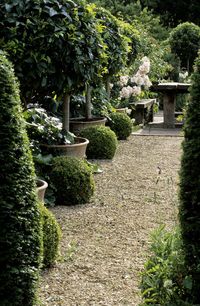 large pots and pebbles