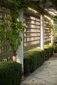 On the side of a wood pergola, landscape architect Janice Parker installed a lattice trellis to help vines and climbers grow. “The combination [of pergola and trellis] provides the ideal support structure for growing perennials for additional privacy and shade,