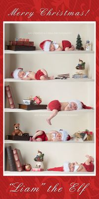 Baby Elf on the Shelf. Someone NEEDS to do this. Cutest Christmas card ever!!!