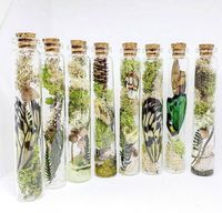 Cabinet de curiosité, décor terrarium, de décor, préservé de la nature, bouteille de bizarreries, bouteille de spécimen, herbier, cadeau d’yule, bocal en sorcière, sorcière