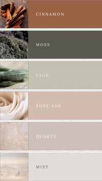 Natural Serenity: Capture the serene beauty of nature with this soft earth tones palette. Featuring shades of brown, moss green, sage green, muted rose, blush, and grey, this palette is ideal for small business branding or autumn weddings. Its calming and organic hues create a peaceful and sophisticated ambiance, perfect for a memorable and elegant experience. #NaturalSerenity #EarthTones #BrandingColors