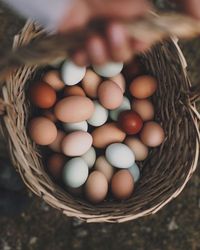 eggs