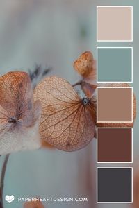 Color Palette: Mocha Mousse Pantone 2025 Color of the Year — Paper Heart Design Co.