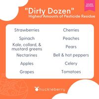 The EWG's Dirty Dozen list includes produce with the highest amounts of pesticide residue. Learn more about organic vs nonorganic food and if it matters which you're feeding your child.