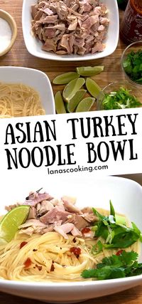 Looking for a creative way to use up all that leftover Thanksgiving turkey? Try this Asian Inspired Turkey Noodle Bowl! It's a brothy bowl full of noodles with turkey, lime, hot chili sauce, cilantro, green onions, and soy sauce.