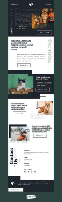 Stripo is an all-in-one email design platform. Create professional and responsive emails fast with no HTML skills. Explore our Email Templates to find just the right look for you. #halloween #stripoemaildesign #emailnewslettertemplate #emailtemplates #emaildesign #emailmarketingdesign #creativenewsletterdesign #mailchimp #freeemailtemplates #htmlemaildesign #emailmarketing