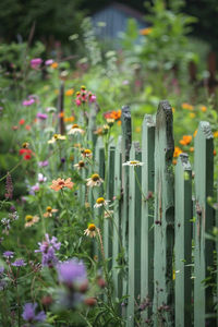 40 Rustic Garden Fencing Ideas for a Cozy Outdoor Retreat. Looking for garden fencing ideas? Discover these 40 charmingly rustic designs to add warmth and character to your outdoor space. Embrace the beauty of nature with these amazing ideas for a rustic garden escape.