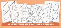 37 Printable Leaf Templates, Outlines & Shapes (Free) - World of Printables