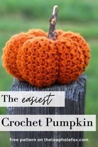 Fall is finally here and that means everyone's favorite thing: Crochet pumpkins! You will love how easy this crochet pumpkin works up. Using the even moss stitch for a punch of organic personality, this crochet pumpkin works up quickly and is so, so cute. Check out the pattern (with video tutorial) today!