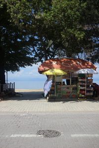 albania aesthetic, lake ohrid, lake, beach, balkan, balkan aesthetic, travel photography, north macedonia