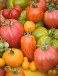 Growing heirloom vegetable gives you the opportunity to collect your own seeds for next year's garden. This is a guide about growing heirloom vegetables.