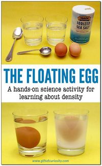 The floating egg: A hands-on science activity for learning about density. This activity is part of the Density STEM Pack. || Gift of Curiosity