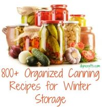 800+ Organized Canning Recipes for Winter Storage -If you have grown a garden this summer or if you simply have an abundance of v...