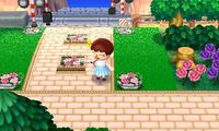 Animal Crossing: New Leaf & HHD QR Code Paths — Credit