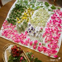 Collection of flowers to dry