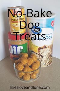 Easy 3 ingredient no-bake treats for your dog.