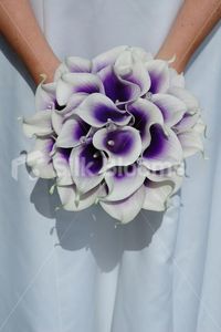 silk calla lily bouquets white with purple center | ... Wedding Bouquet with Artificial Purple Centred White Picasso Lilies