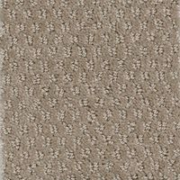 TrafficMaster Prime Spot - Ace - Beige 25 oz. SD Polyester Pattern Installed Carpet H4118-1784-1200 - The Home Depot