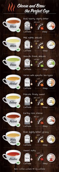 A Beginner's Guide to Tea: From green, to black, to oolong, and everything in between... Here's all you need to know about brewing the perfect cup!