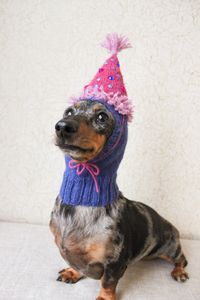 "This listing is for a downloadable KNITTING PATTERN. The pattern is a PDF that is made available immediately upon purchase. This dog hat is a new take on the traditional party hat in the shape of a cone. In order to make the hat stay on my dog, I designed \"a hat within a hat\" and simply sewed the cone part of the party hat onto a comfy fitted hat design. The string that ties at the chin is purely decorative, and is actually sewn on with thread. I feel that it does add a little extra charm to