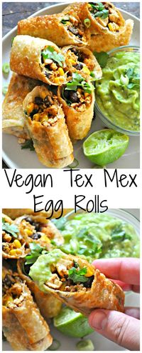 Vegan Tex Mex Egg Rolls - Rabbit and Wolves #vegan #veganfood #veganappetizers #veganeggrolls #veganrecipes #vegandinner