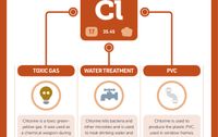 IYPT Elements | Compound Interest