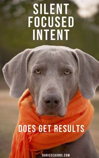 Dogs know all about silent focused intent.