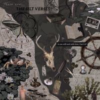 #thesiltverses #tsv #moodboard