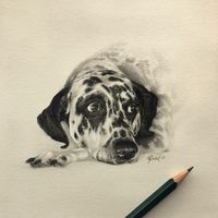 This Artist Makes Realistic Portraits Of Animals That Will Leave You Jaw-Dropping