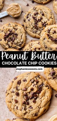 These super chewy peanut butter chocolate chip cookies are the best peanut butter cookies.