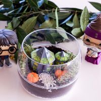 Lucky Sophie 🍀 Famille Voyage sur Instagram : Activité créative et jardinage pour les fans du plus célèbre petit sorcier ⚡️avec ce kit terrarium Harry Potter La cabane d’Hagrid. Il…