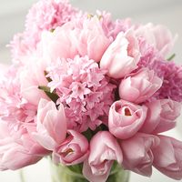 I want a floral smelling bouquet. Tulips, Hyacinth, lily-of-the-valley, and possibly gardenia