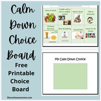 Calm Down Choice Board - Free Download